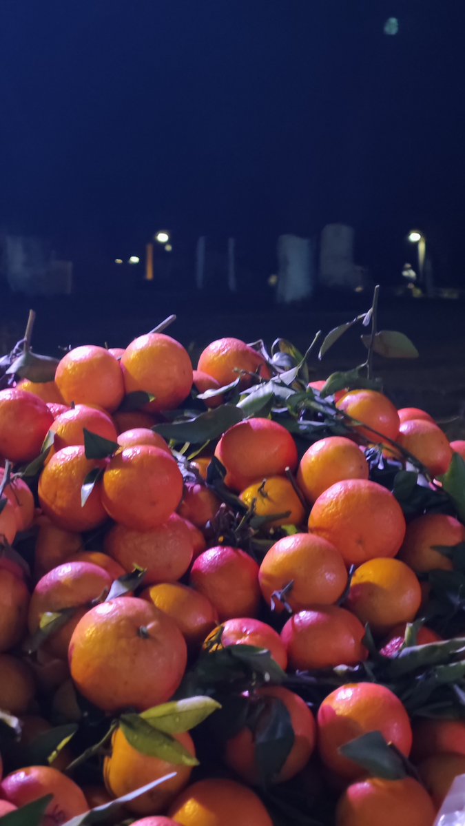 LACROIX Laetitia tweet media