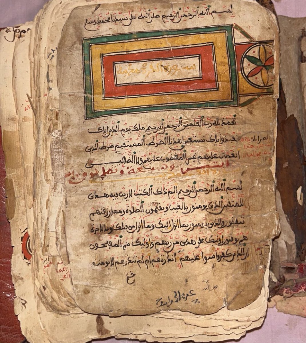 أميرة الهلالي👸🏻 tweet media