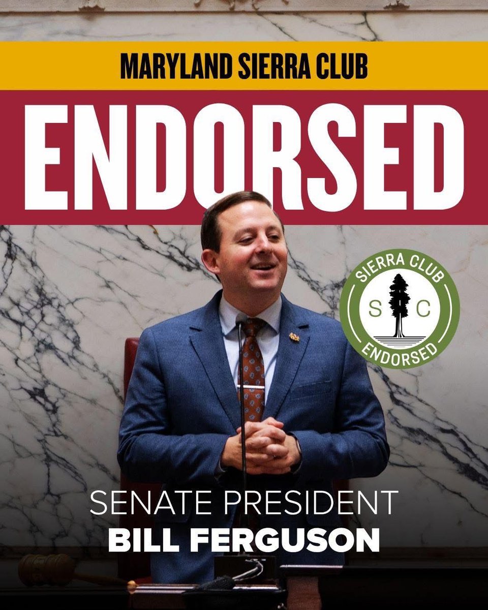 Bill Ferguson tweet media