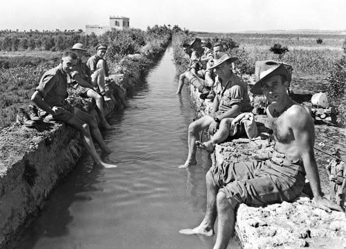 History Hub tweet media