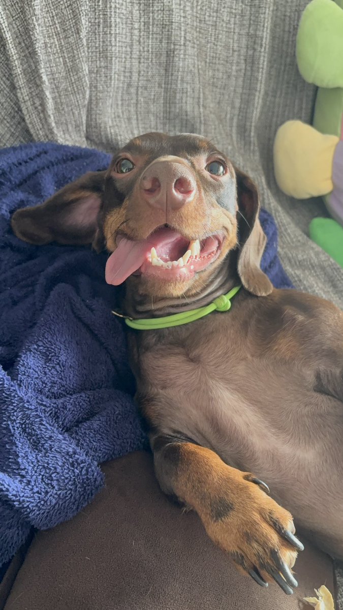 Reeh Fernanda tweet media