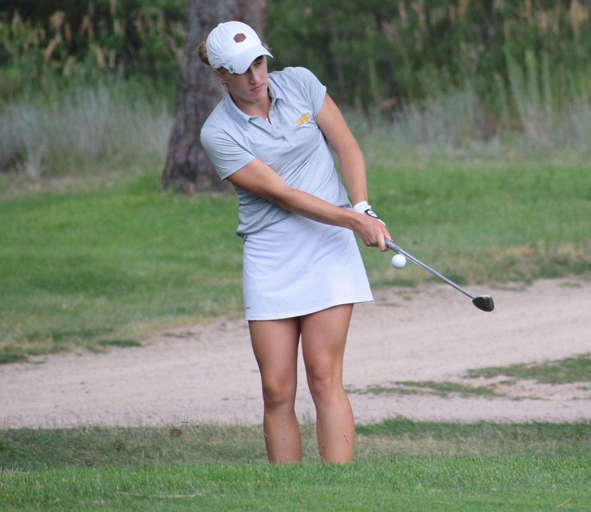 Colorado Golf Association tweet media