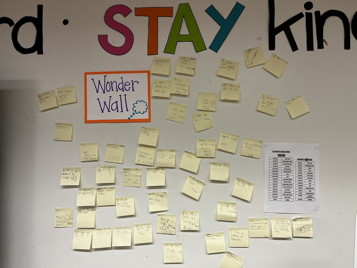 My student’s Wonder Wall 🤔💭 about Oceans! 🐠🦀🐙🐬 Let our Research Unit begin!!!!