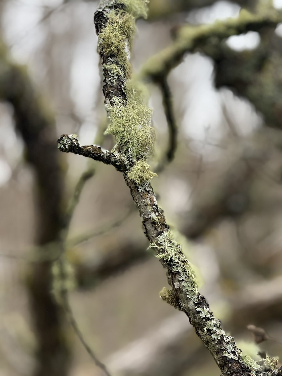 🇨🇦 Jean Paetkau 📕 tweet media