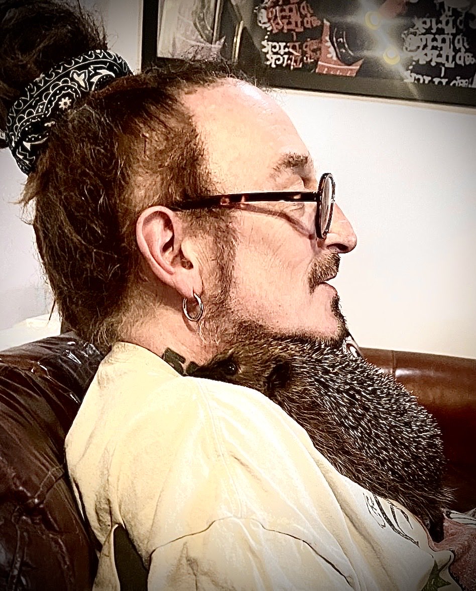 Ginger Wildheart tweet media