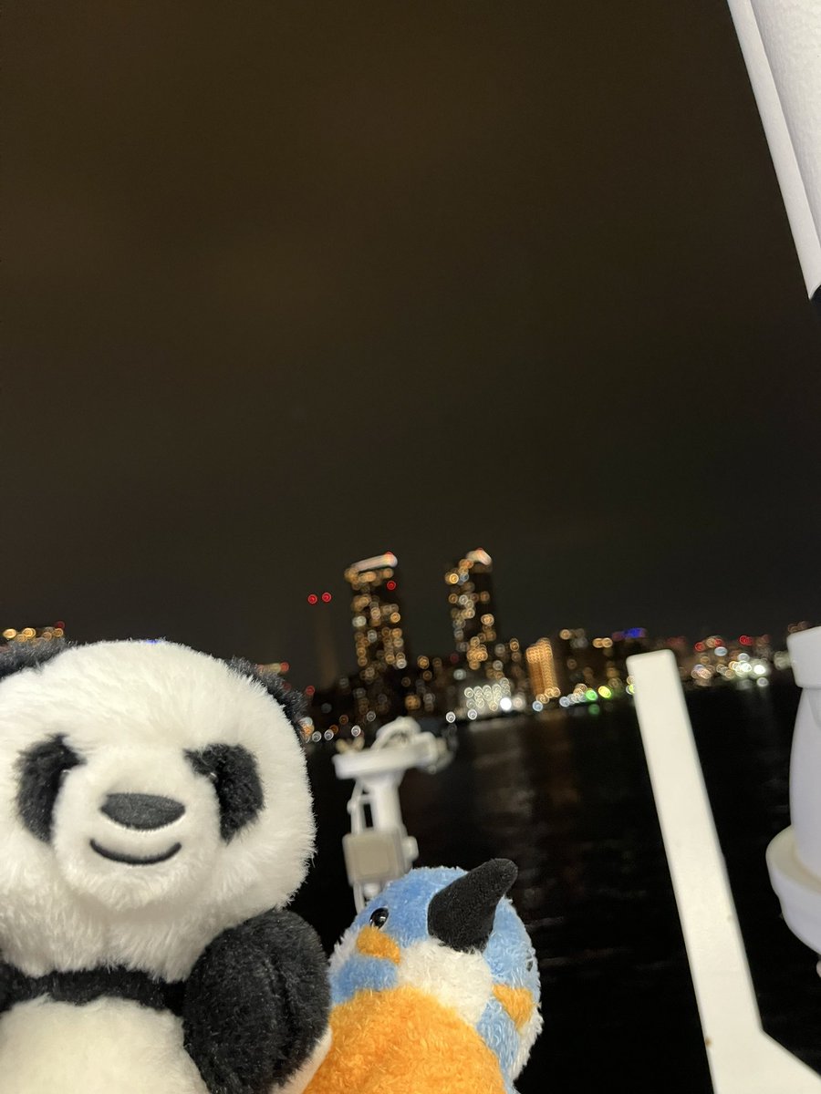 lightus_rocket's tweet photo. 伊豆大島に到着しました！今日は設営など頑張ります！ https://t.co/4rnKl7aXb0