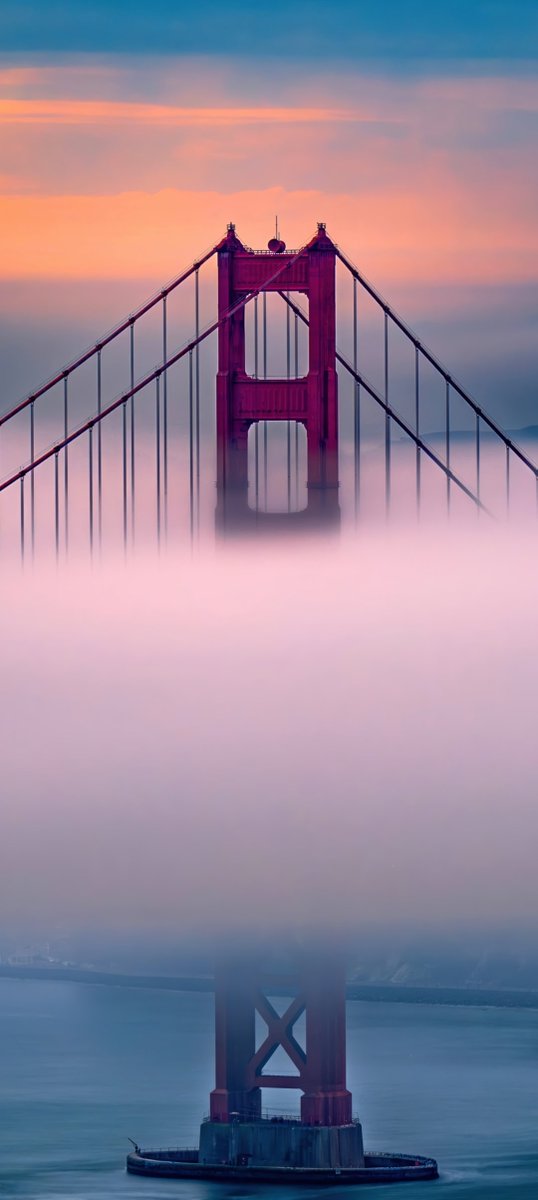 MovieByteX's tweet photo. All-weather beauty, ready for your screen. Let's have it 4k wallpaper. https://t.co/IDBNb1Slw8