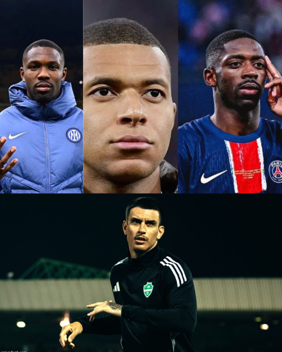 باسل 📊 tweet media