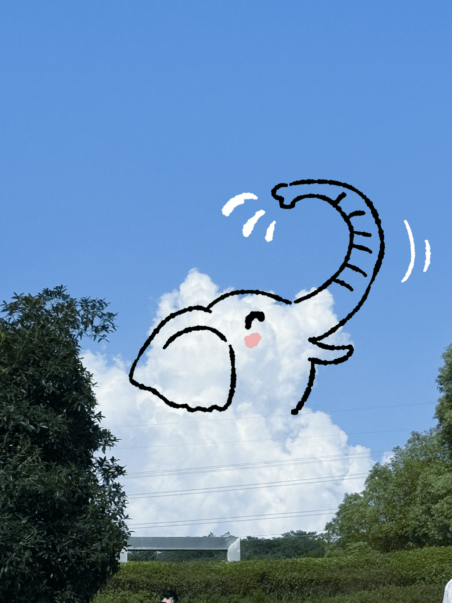 Team Immortals tweet media