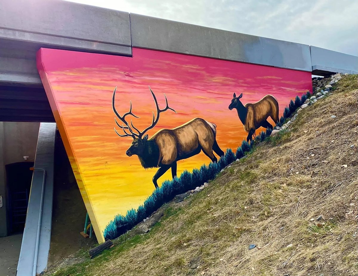 JOURNEY MAN 🛠️ tweet media