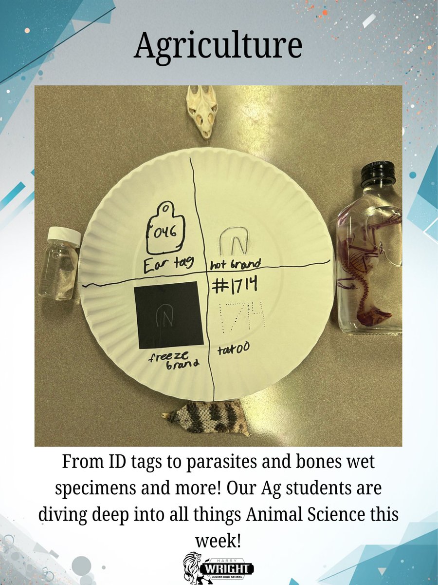 Wright Junior High tweet media