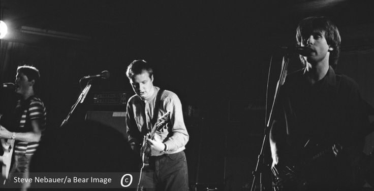 daily xtc 🍊🍋 tweet media