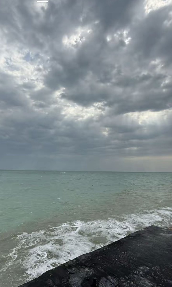 اااالــ🦌ــريــ🦌ـــم tweet media