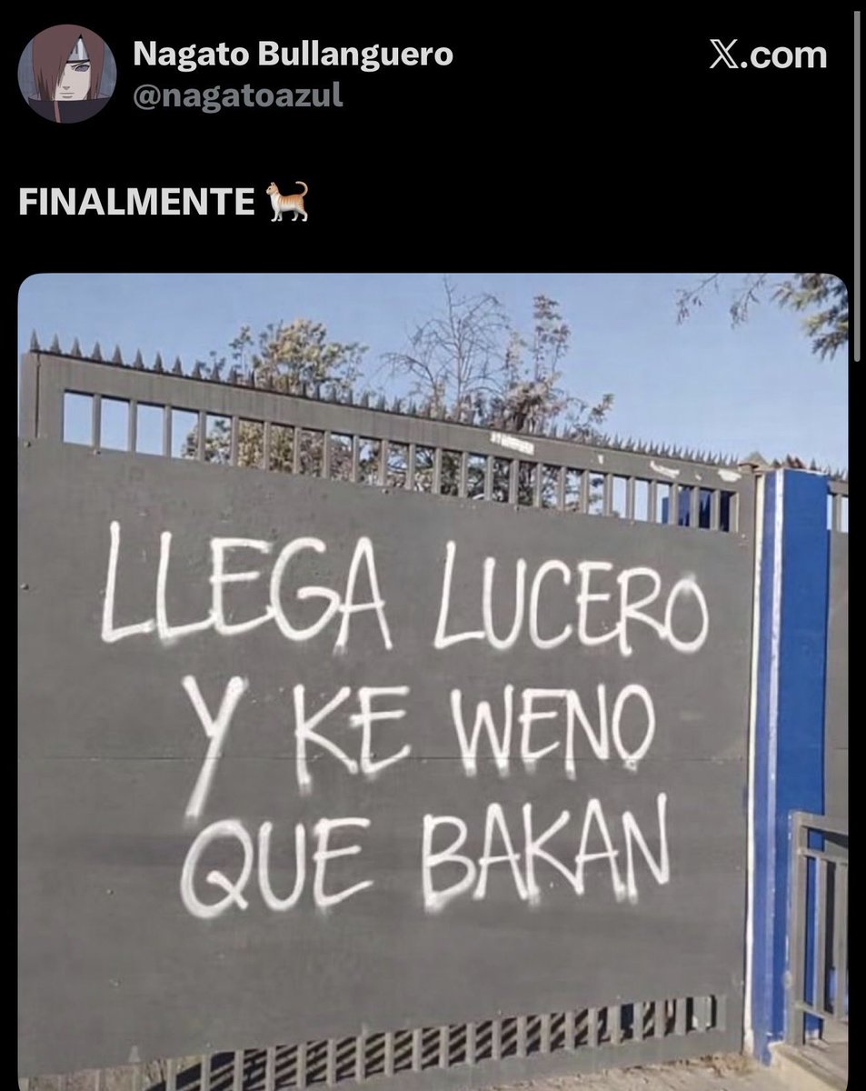 Callamperas ColoColo tweet media