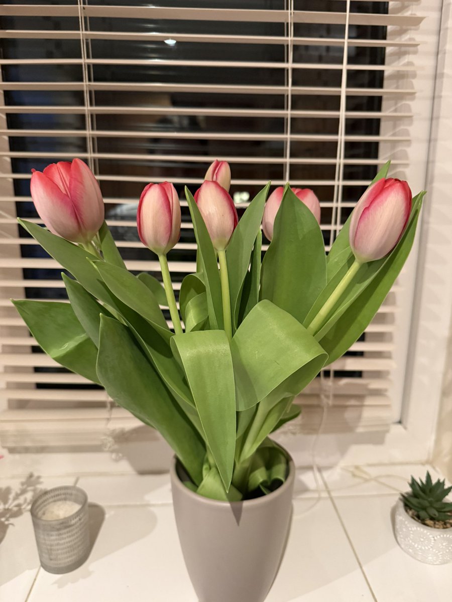 ells🦋 tweet media