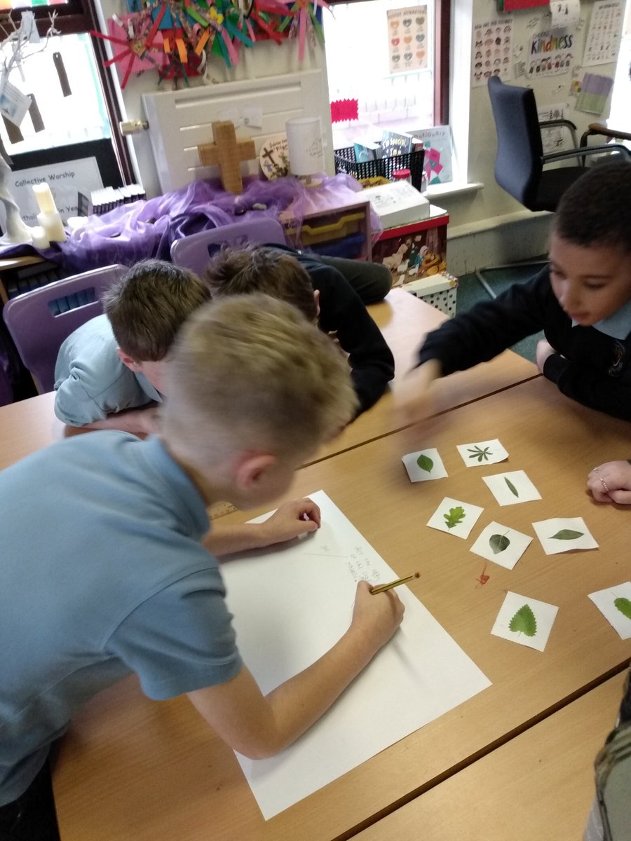 StEdwards_C3's tweet photo. In Science this afternoon, we have been making our own classification keys to sort different leaves.
#stedwardsscience https://t.co/8vmfXWuAzM