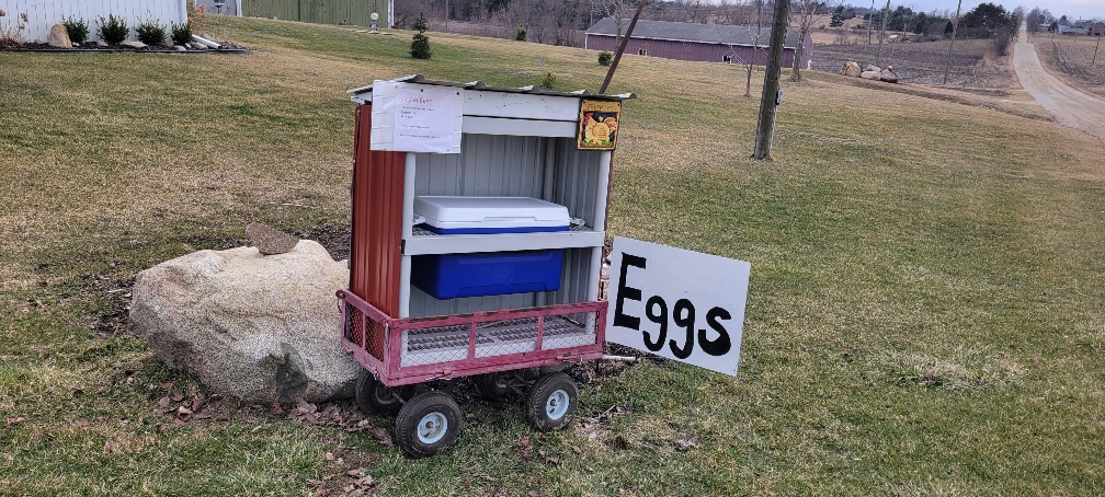 Sandy Noneya tweet media