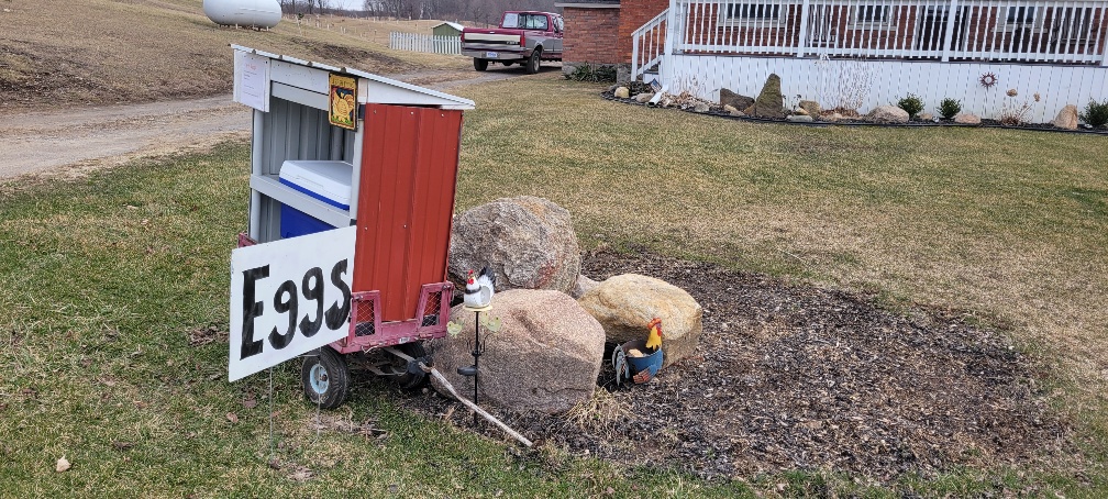 Sandy Noneya tweet media