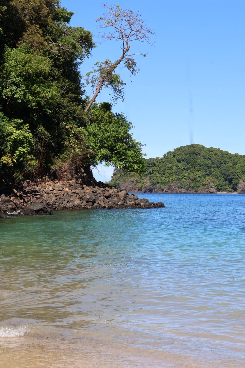 monthybatista's tweet photo. 📍Parque Nacional Isla Coiba  

El domingo empezó bien madrugado: maletas listas y baño a las 4:00 a.m.🥶. Pero valió totalmente la pena.  

Un día entre:  
• Sol ☀️  
• Lanchas 🚤  
• Snorkel 🤿  
#Coiba #Trip https://t.co/5itRyxVWuq