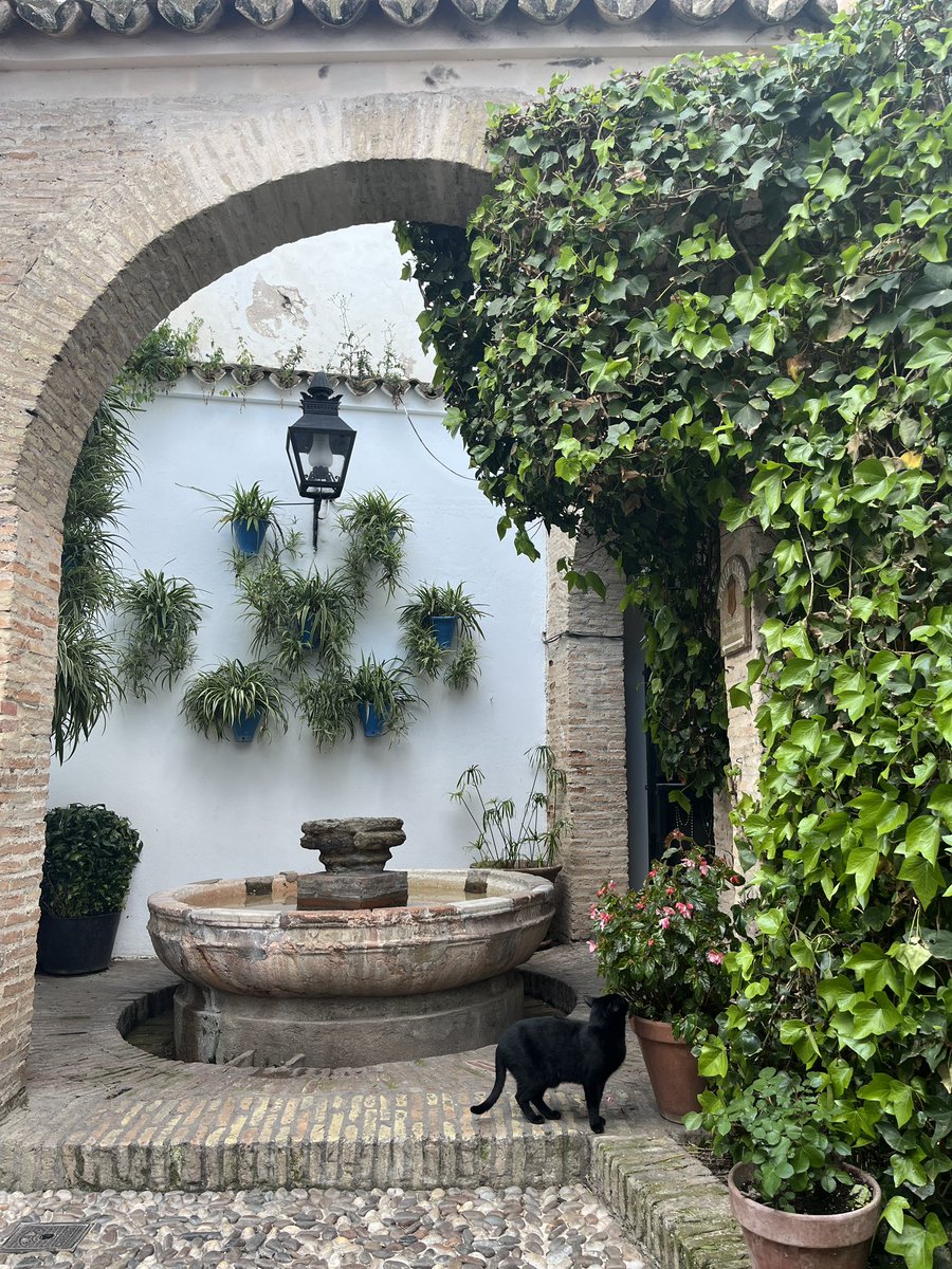 lemonhead__girl's tweet image. #life #crazy 😊