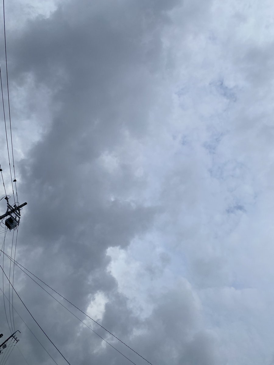 さとちゃん tweet media