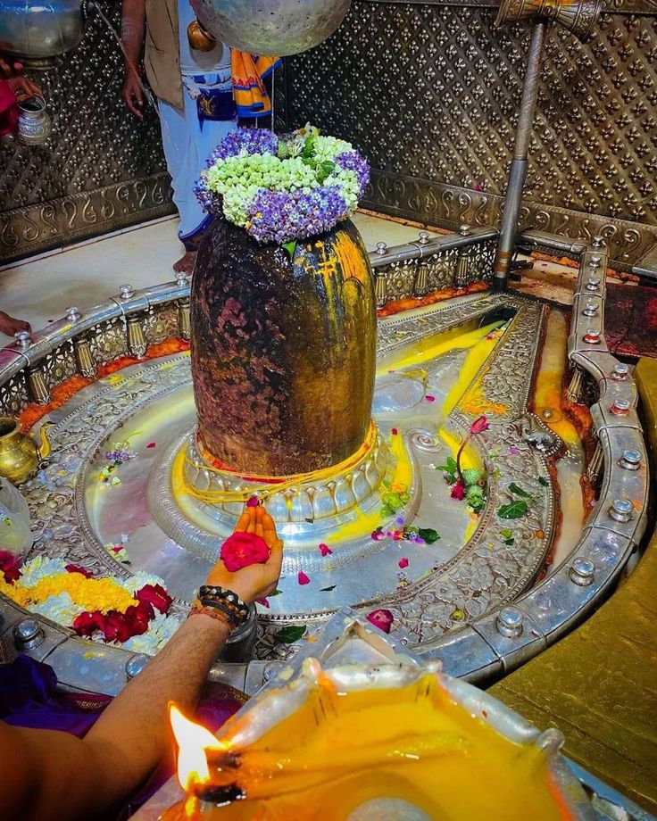 रानी पुरोहित tweet media