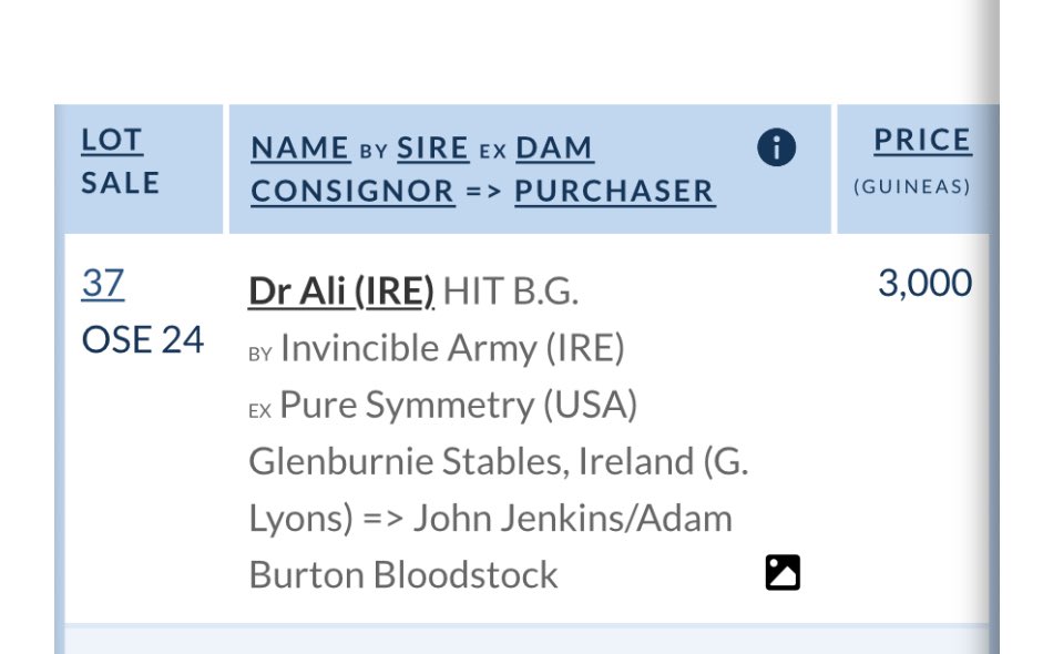 AdamBurton04's tweet photo. Dr Ali wins @WolvesRaces! His second win since he was bought from the @tatts_online sales for just 3,000GNS! He’s an ultra consistent horse with 5 places to his name alongside his two wins since joining Mr Jenkins &amp; his team. 

Well done to all connections! 🎉🥳 https://t.co/zxOzVpzWVZ