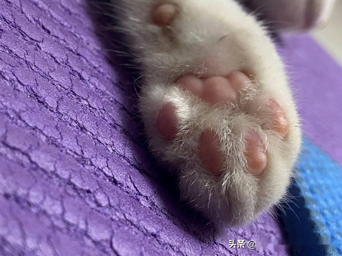 jayson mangonon tweet media