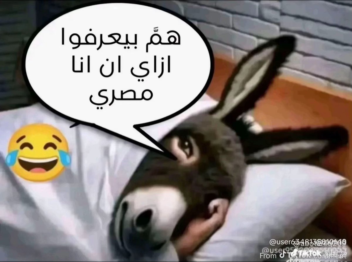 Augélia tweet media