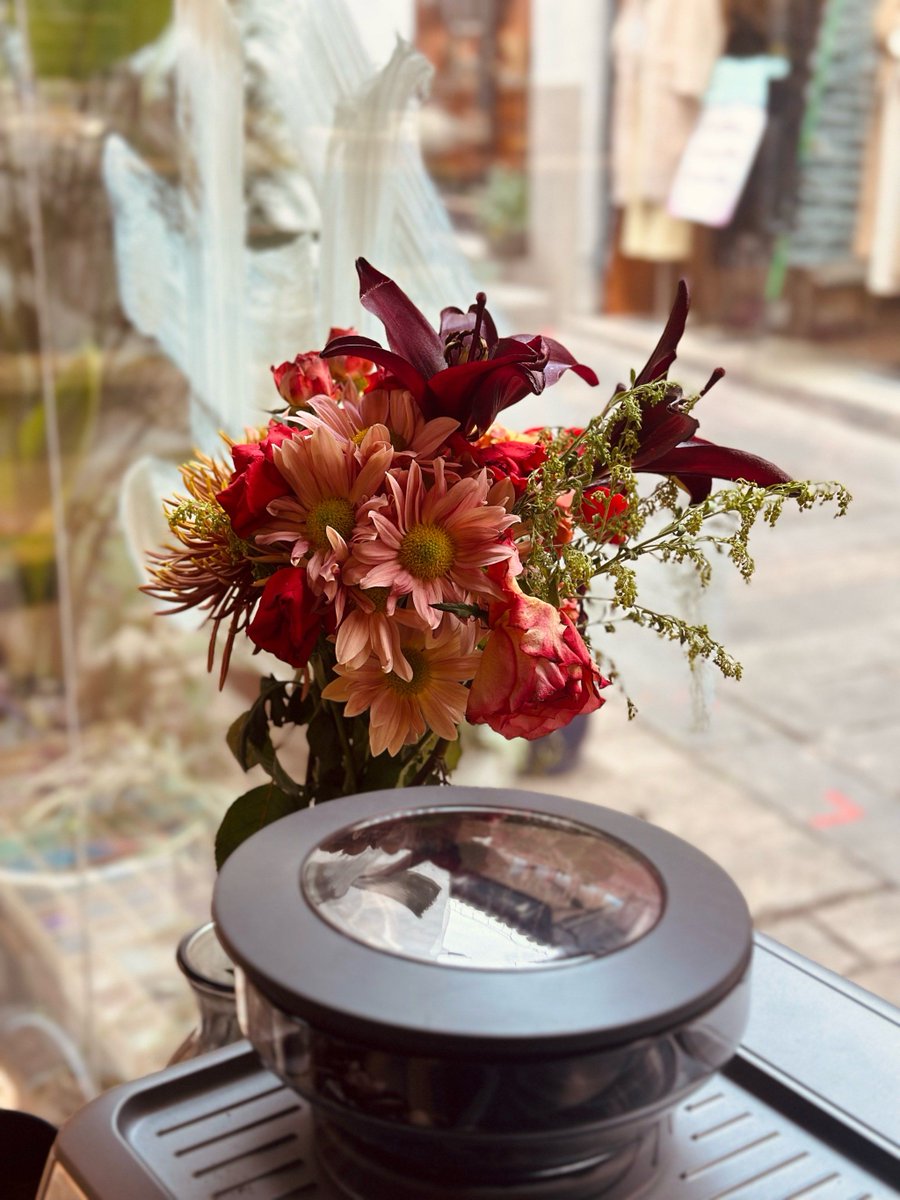 Alejandra tweet media