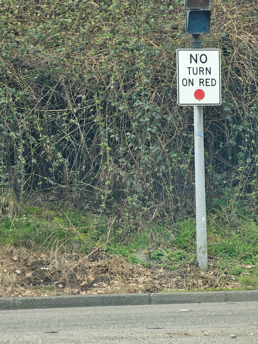 Beth Dutton tweet media