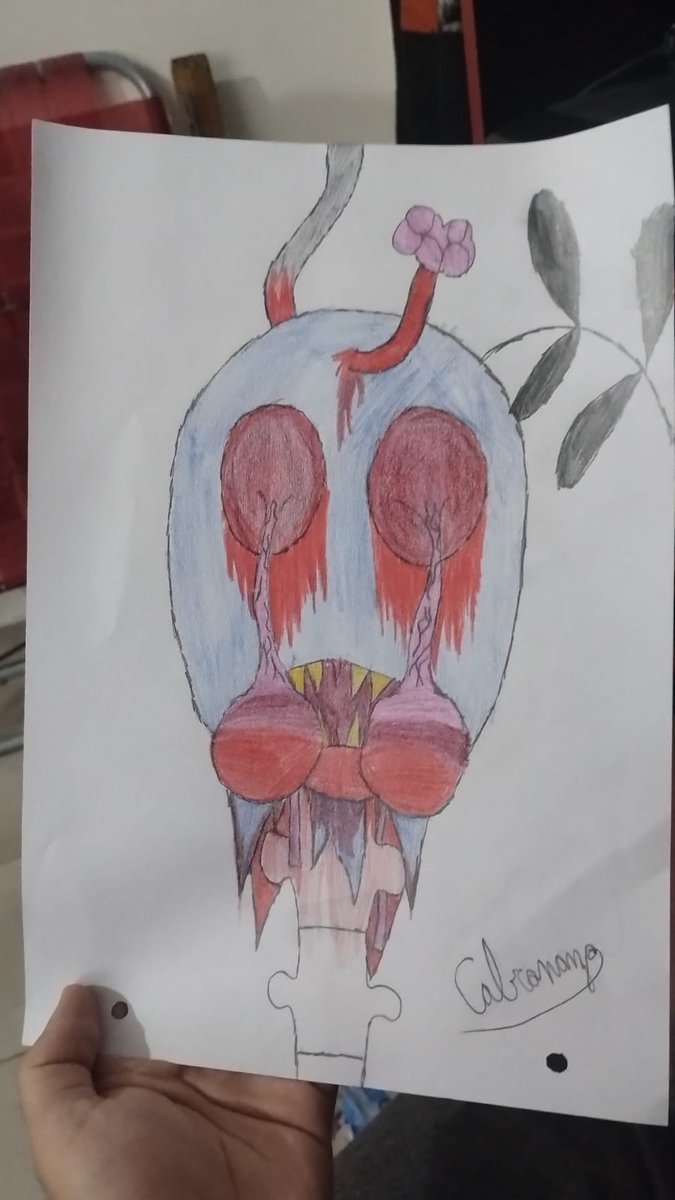 Cabronazo_ tweet media