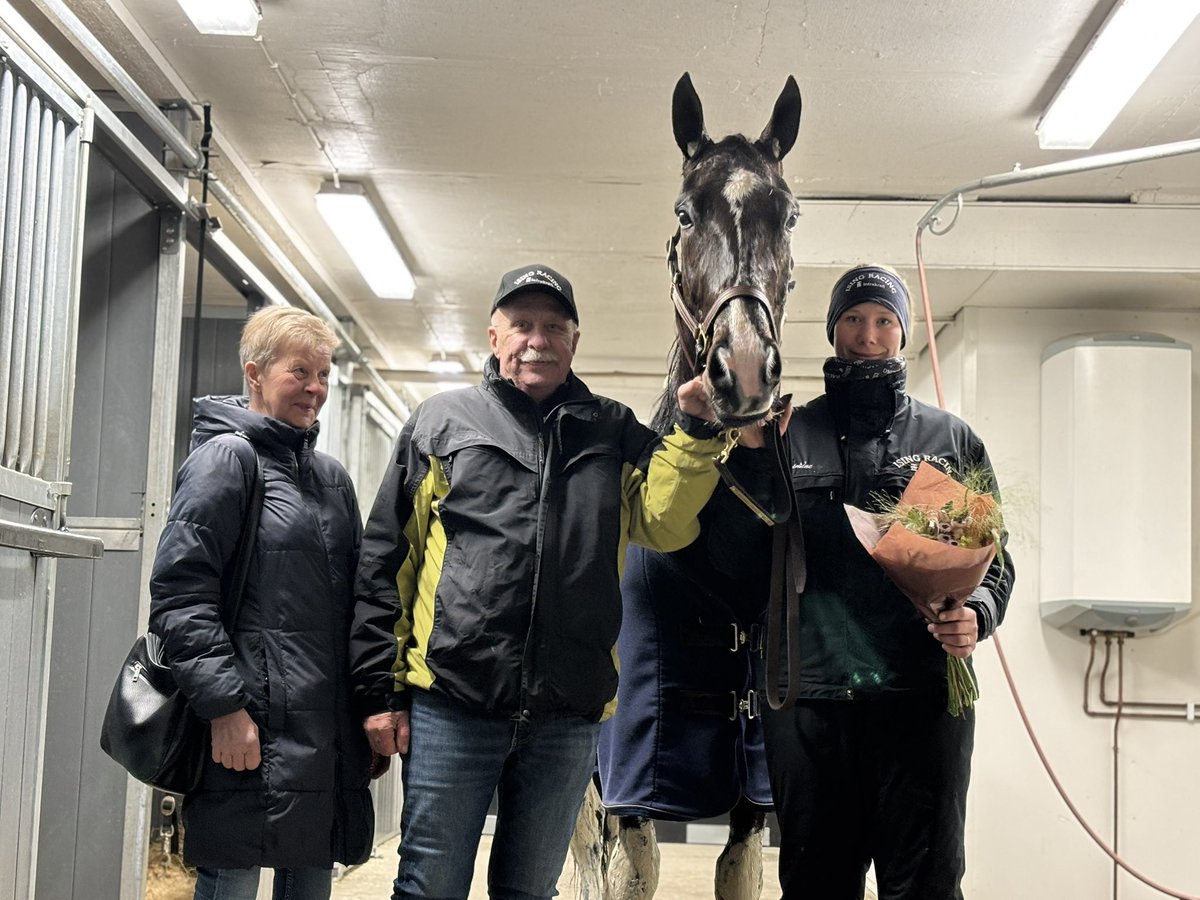 Ising Racing tweet media