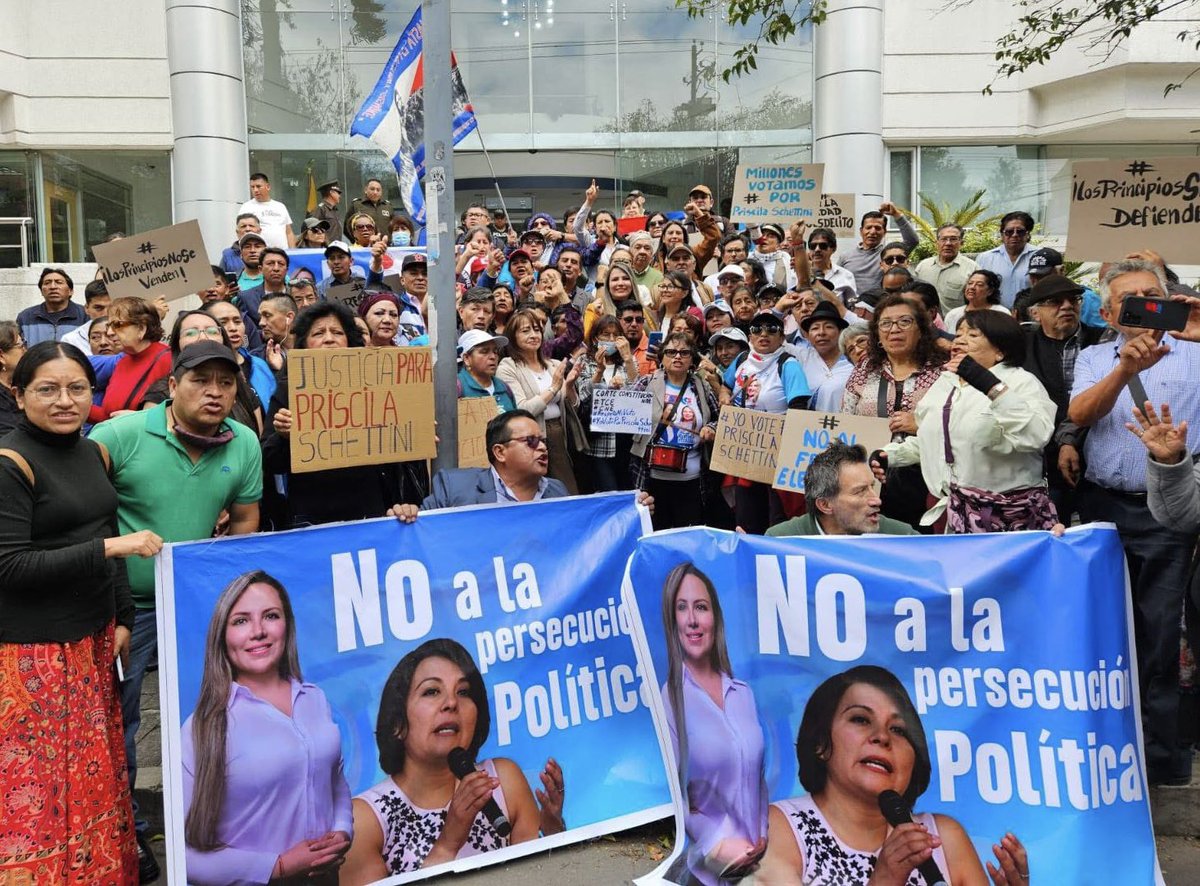 Priscila Schettini tweet media