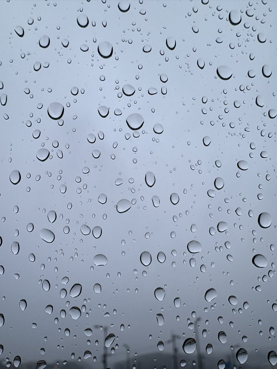 toshi。 tweet media