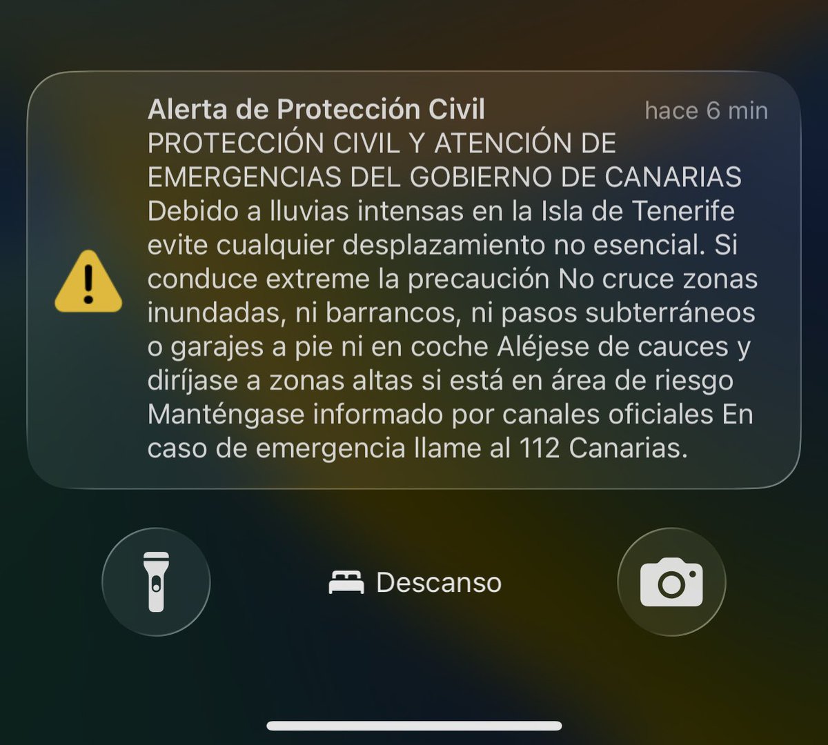 Leandro Manuel tweet media