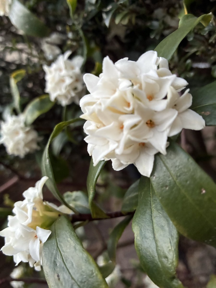 パレット tweet media