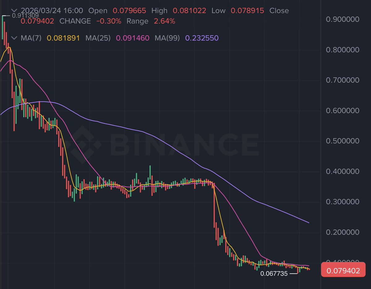 Leonidas 🧡 $DOG tweet media