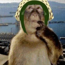 🍶Mavis🦀 tweet media