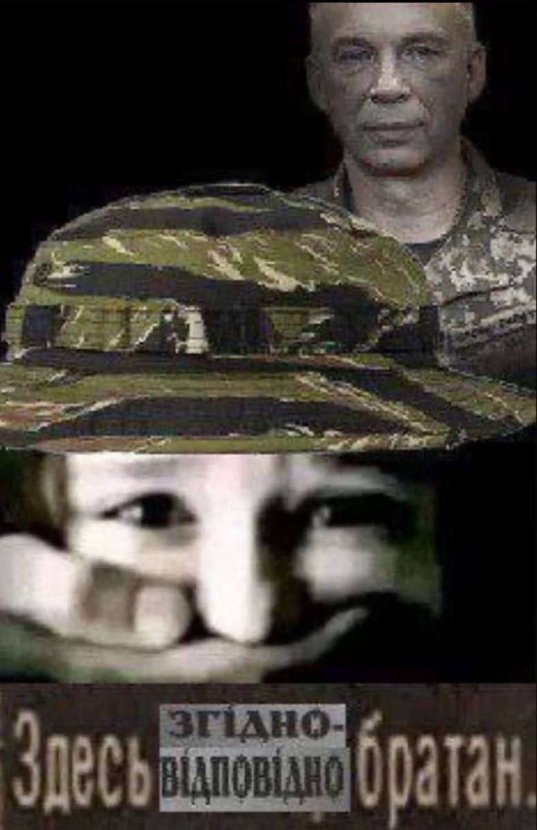 Born to chill 🇺🇦 tweet media