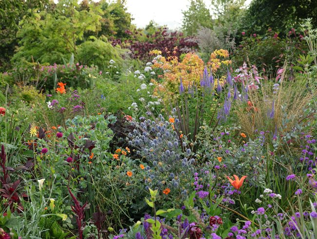 Garden Design Mag tweet media