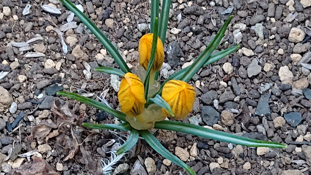 りん🎀 tweet media