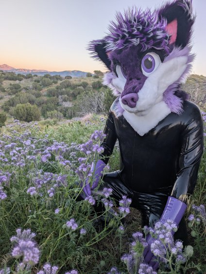 PurpleMiru tweet media