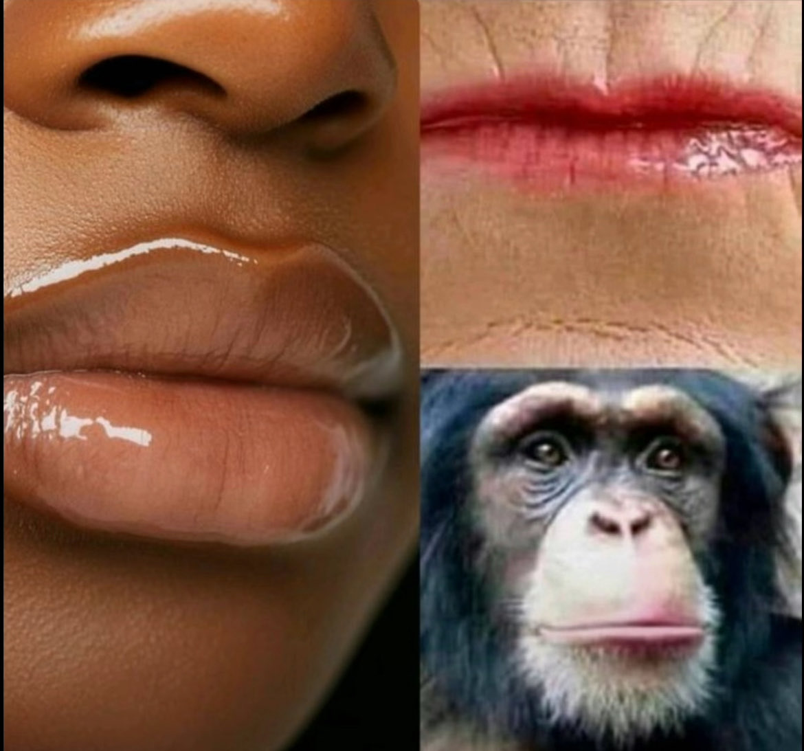 🫡TRUTH MATTERS tweet media