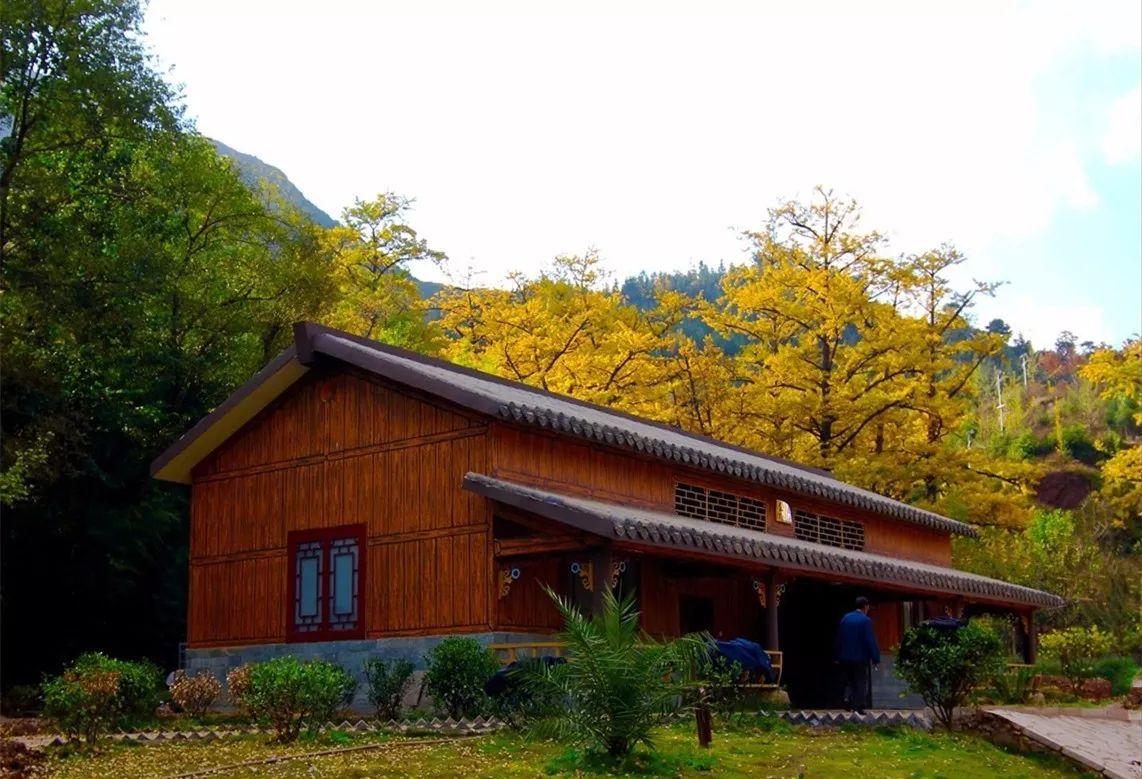 PinLink | Official Announcements tweet media