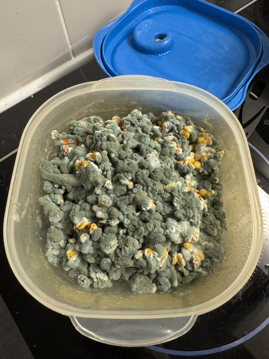 𝒜🪖 tweet media