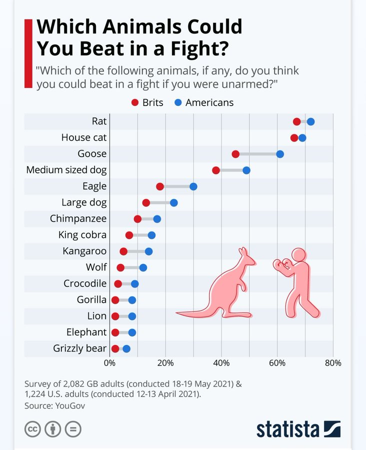 Gonzalo Bonet tweet media