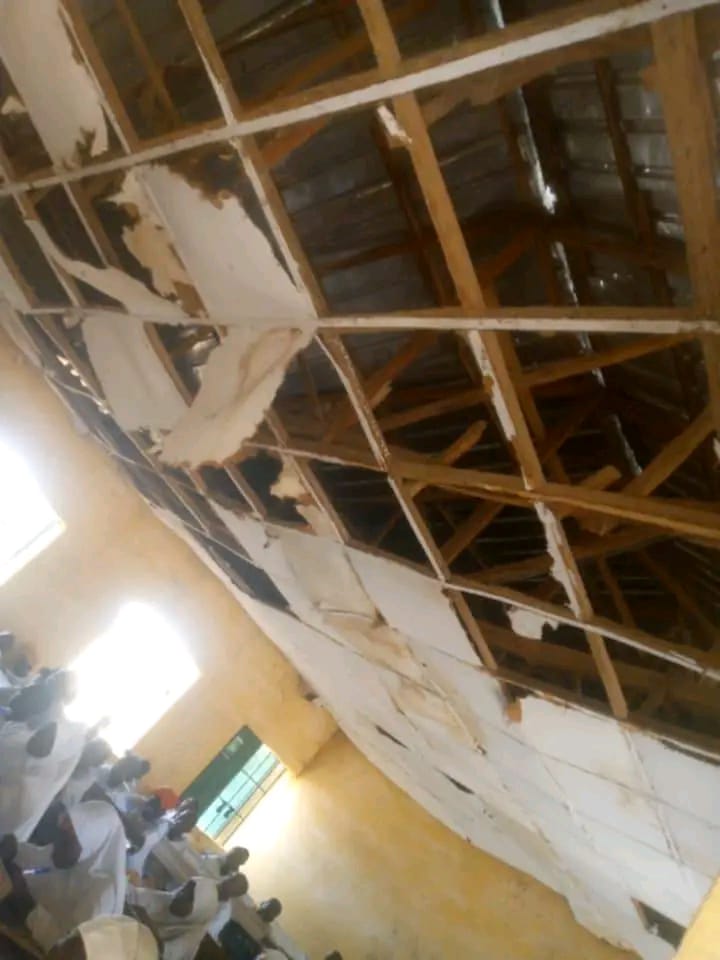 Take it back Movement tweet media