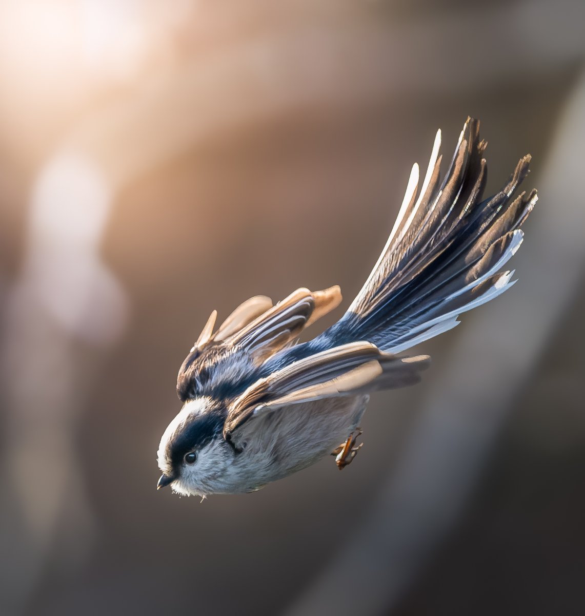 KayのPhotoBook tweet media