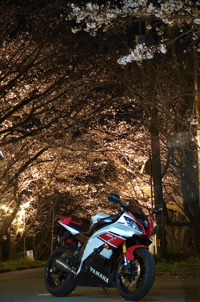 ぶぉん𝕏 tweet media